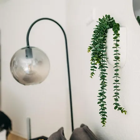 Boutique-style Studioapartments Appartement