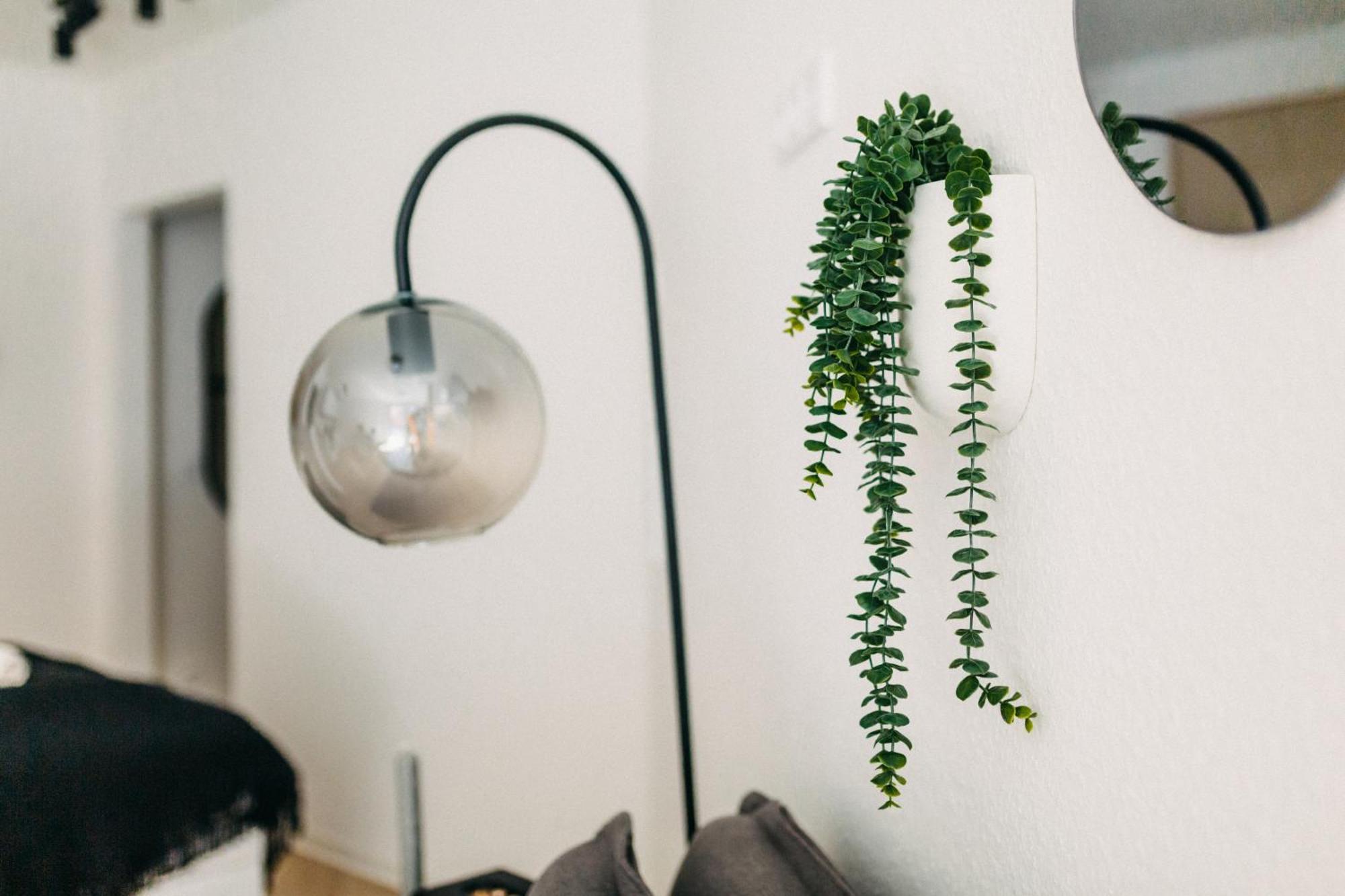 Boutique-style Studioapartments Apartment